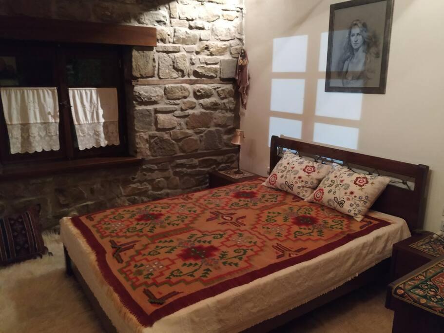 Παραδοσιακή Πέτρινη Κατοικία Στην Βλάχα Ελάτης Экстерьер фото